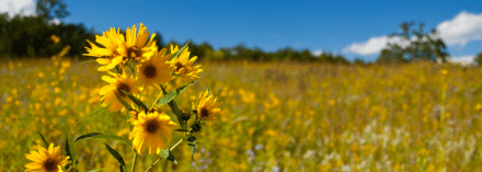 Screen Shot 2014-05-28 at 3.15.16 PM